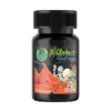 100MG Microdose Golden Teacher – Schwifty Labs (20) - Shrooms World