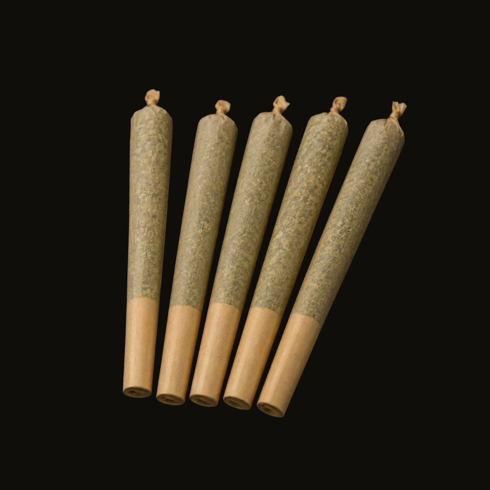 5 PACK GUCCI 5x 0.5g PRE-ROLLS 5 PACK GUCCI 5x 0.5g PRE-ROLLS