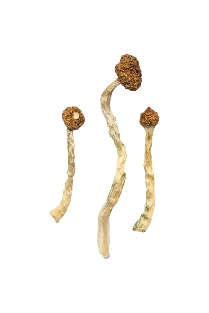 Arenal Volcano Magic Mushrooms - Shrooms World Arenal Volcano Magic Mushrooms - Shrooms World