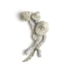Avery’s Albino Magic Mushrooms - Shrooms World