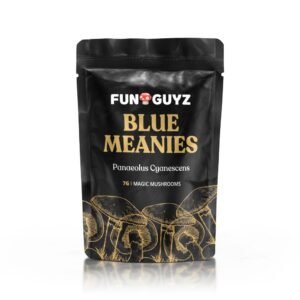 Blue Meanies - Magic Mushrooms