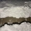 Buy Bolivian Cocaine - Shrooms World