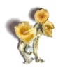 Buy Magic Mushroom Canada, Magic Mushroom Canada, Buy DMT Canada
