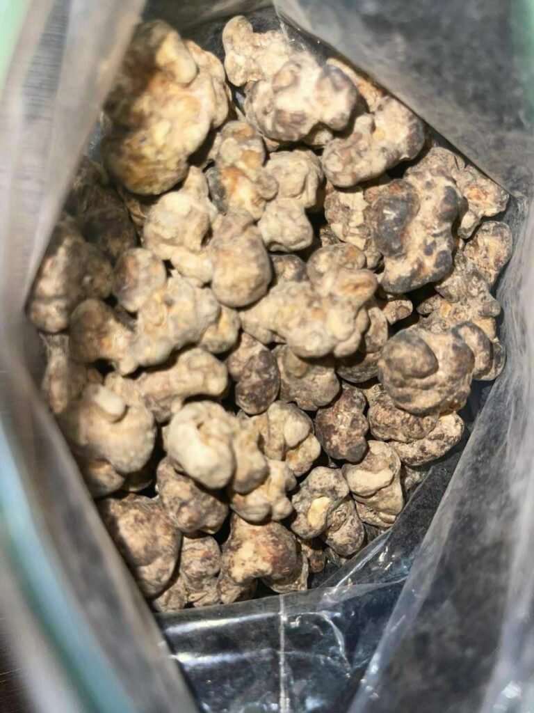Buy Magic Mushroom online, Magic Mushroom Canada Shrooms World Buy Magic Mushroom online, Magic Mushroom Canada Shrooms World