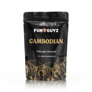 Cambodian - Magic Mushrooms