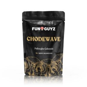 Chodewave - Magic Mushrooms