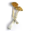 Golden Emperor Mushroom, Buy DMT Canada - Shrooms World