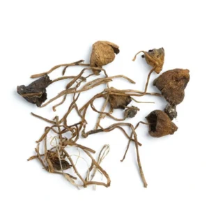 Liberty Cap Mushroom, Buy Liberty Cap Mushroom, Buy DMT Online