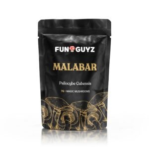 Malabar - Magic Mushrooms