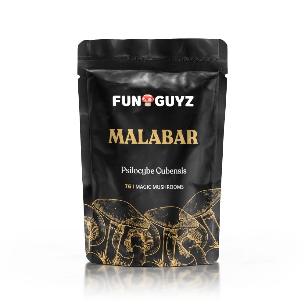 Malabar - Magic Mushrooms Malabar - Magic Mushrooms