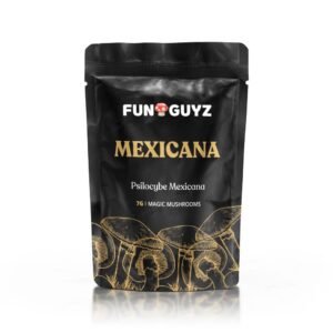 Mexicana - Magic Mushrooms