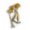 Where To Buy Magic Mushroom, Zilla Mushrooms - Shrooms World